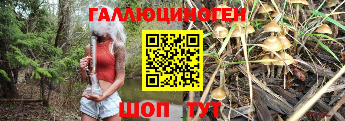 Чапаевск  Галлюциногенные грибы GOLDEN TEACHER  Вход с VPN  Псилоцибиновые грибы Magic Shrooms 